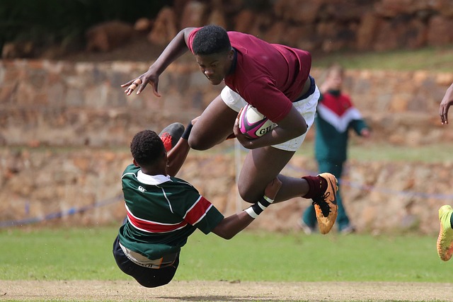 迷的目光 迷的目光