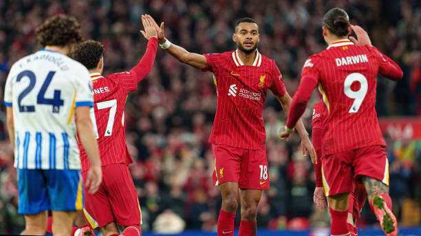 费尔南德斯 费尔南德斯