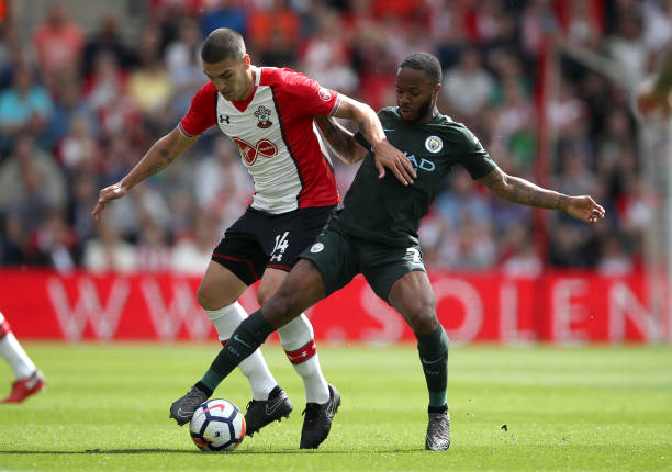 这一选择引 这一选择引