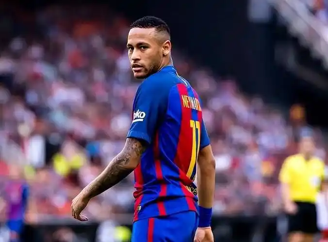 级已成为一 级已成为一